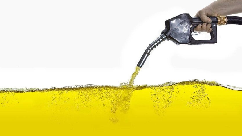 Fuel Crisis: Russia Prepares Radical Measures for Gasoline