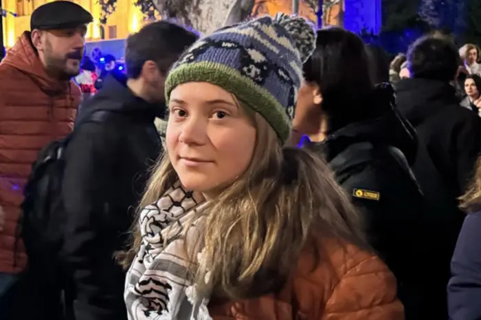 Грета Тунберг на митинге грузинской оппозиции (фото)