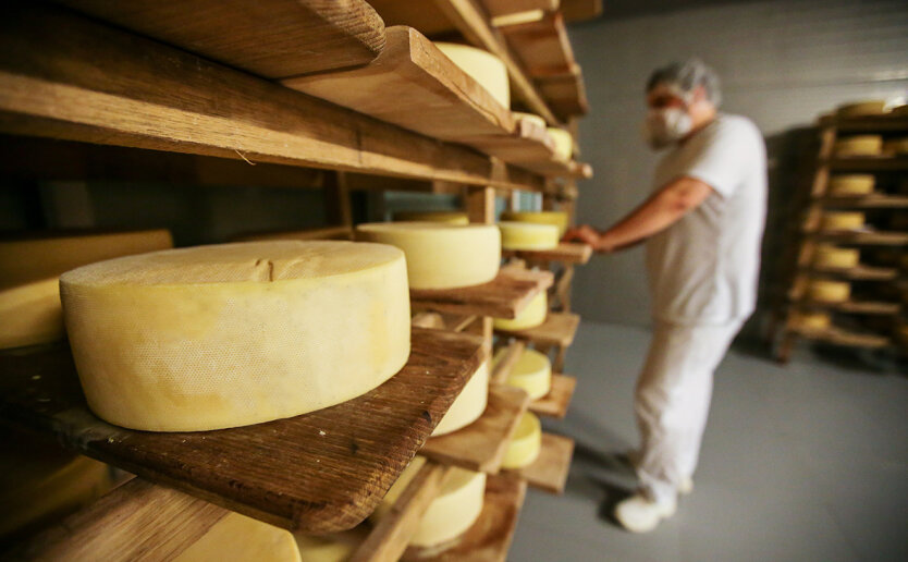 Ukrainian cheeses in the store